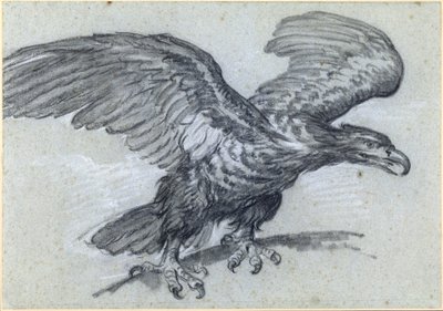 Een adelaar, 1811 door Pierre Paul Prudhon